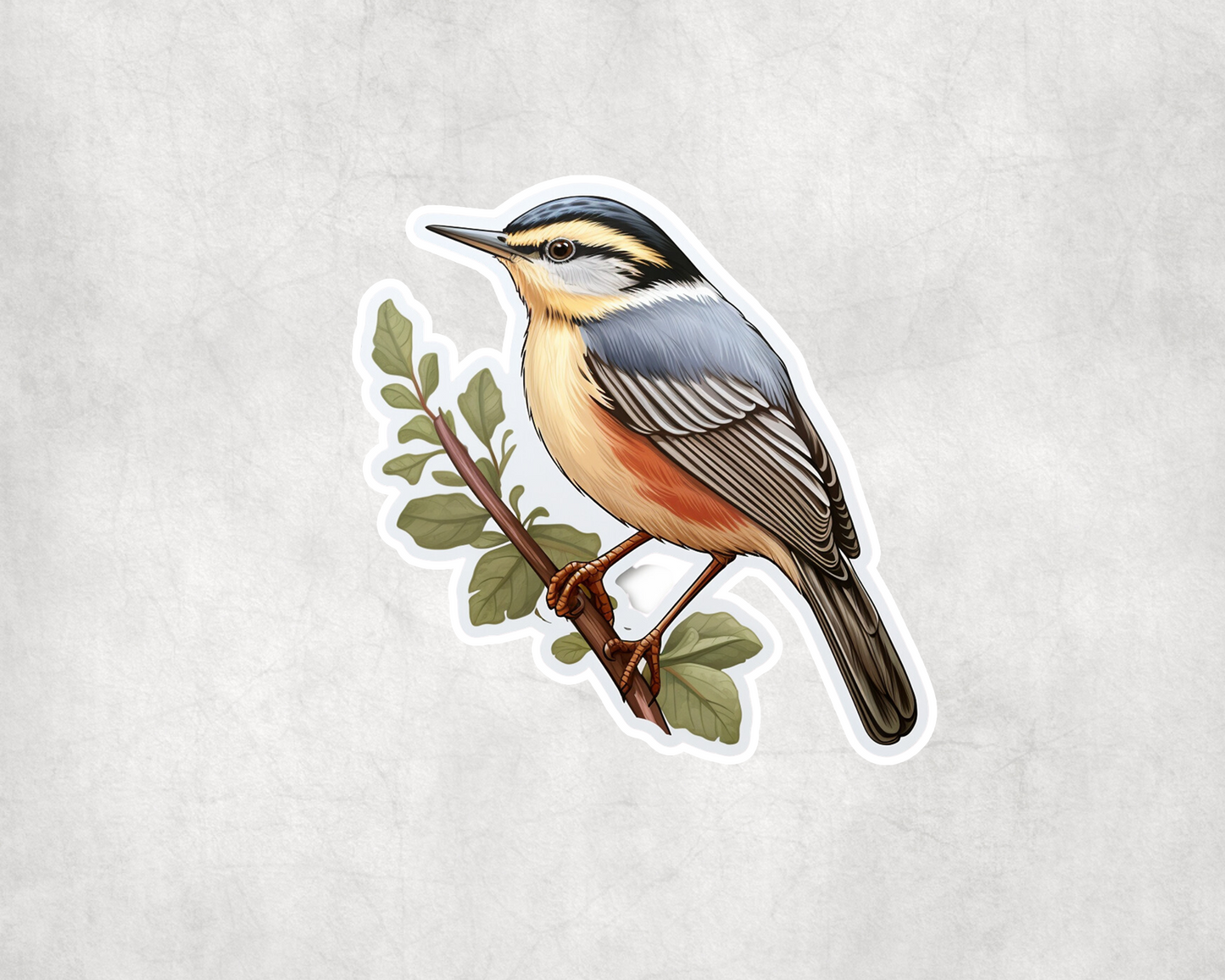 2 x Aquatic Warbler Bird Vinyl Scrapbook Sticker Stickers Laptop Wall Door Decal