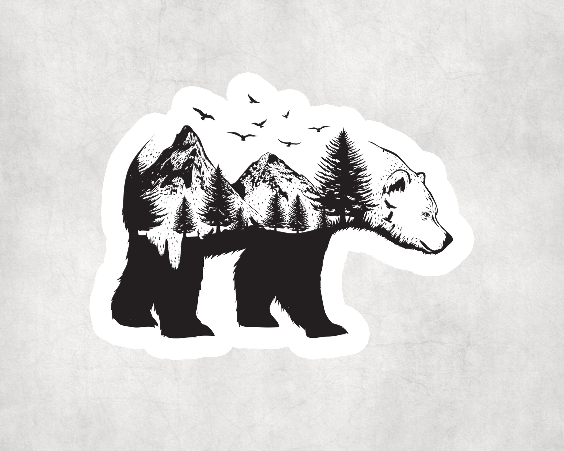 2 x Bear Wildlife Animal Skateboard Bike Skate Tablet Stickers Sticker Laptop