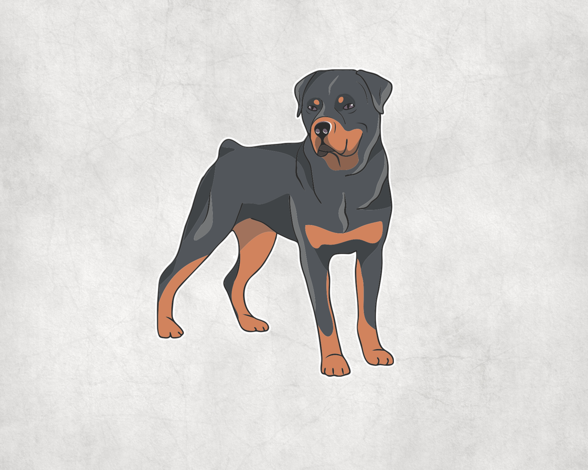 2 x Cute Rottweiler Dog Vinyl Sticker Car Water Bottle Flask Sticker Craft